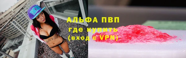 ПСИЛОЦИБИНОВЫЕ ГРИБЫ Аркадак